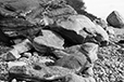 By the Shore 13